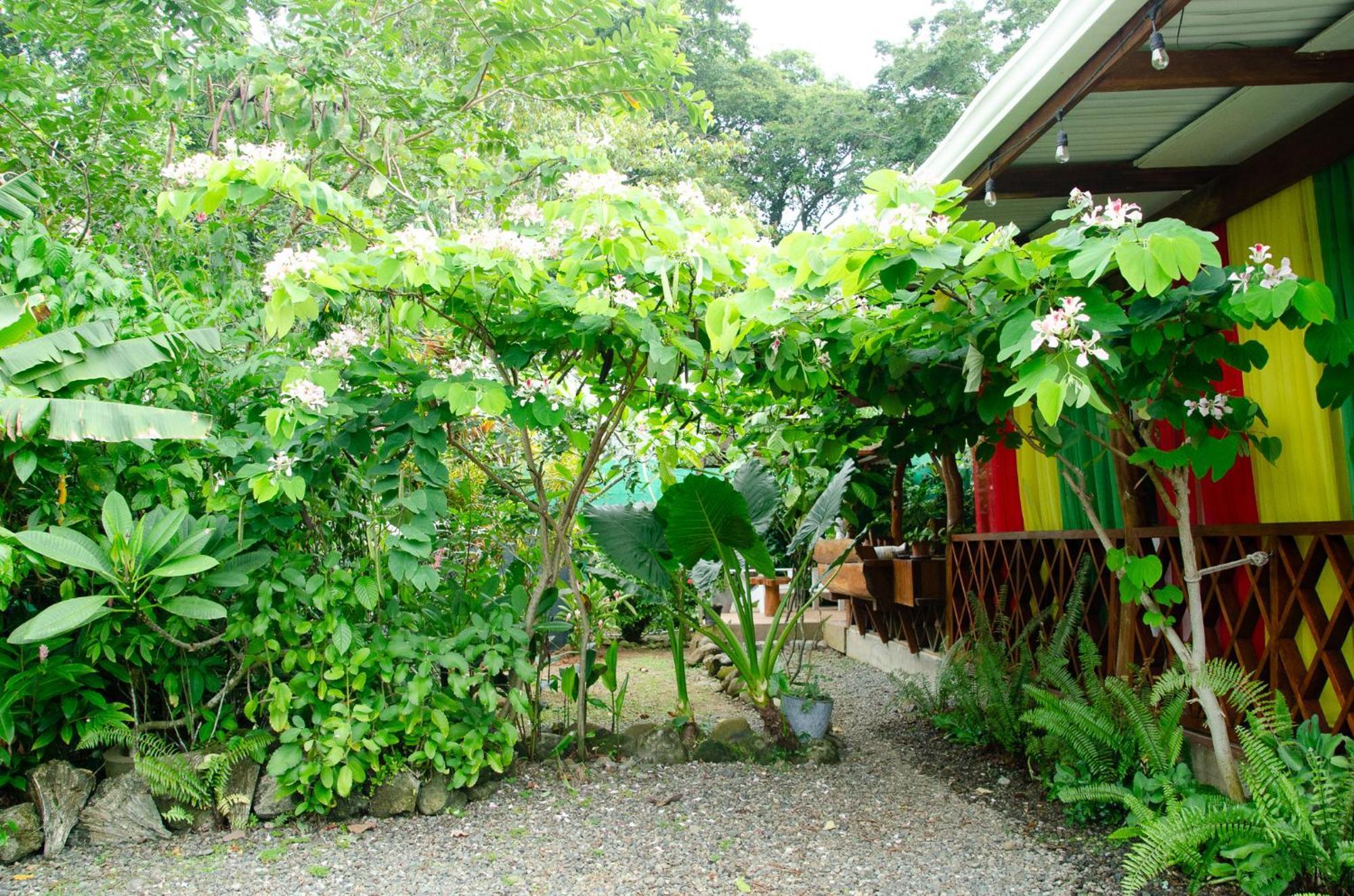 Colibri Ecolodge 3 Minutes Walk To Beach And Town Puerto Viejo de Talamanca Exterior foto